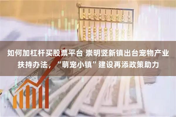 如何加杠杆买股票平台 崇明竖新镇出台宠物产业扶持办法，“萌宠小镇”建设再添政策助力