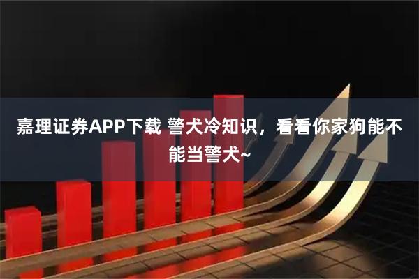 嘉理证券APP下载 警犬冷知识，看看你家狗能不能当警犬~