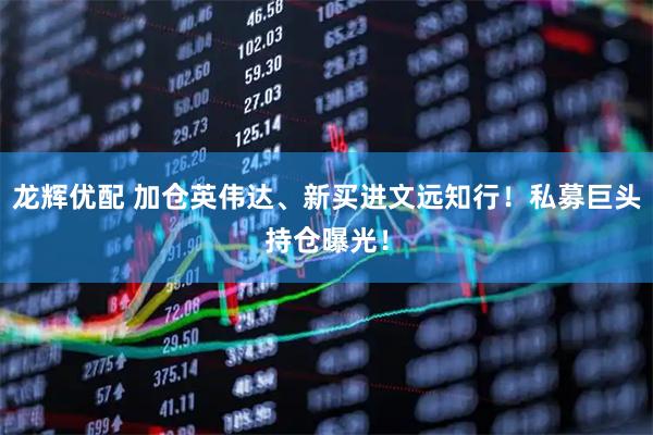 龙辉优配 加仓英伟达、新买进文远知行！私募巨头持仓曝光！