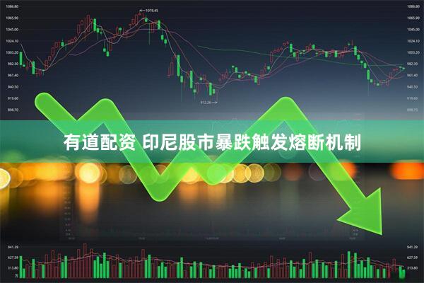 有道配资 印尼股市暴跌触发熔断机制