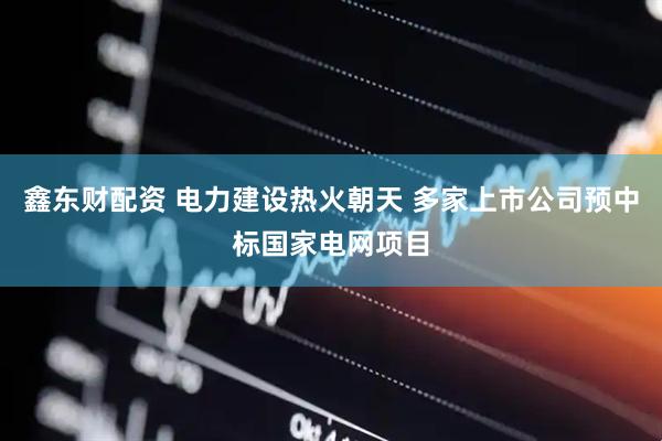 鑫东财配资 电力建设热火朝天 多家上市公司预中标国家电网项目