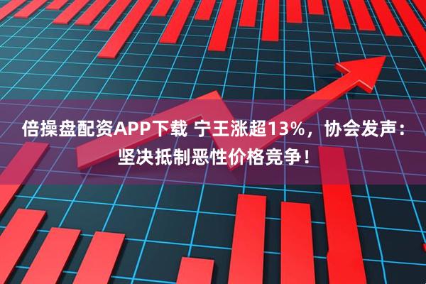 倍操盘配资APP下载 宁王涨超13%，协会发声：坚决抵制恶性价格竞争！