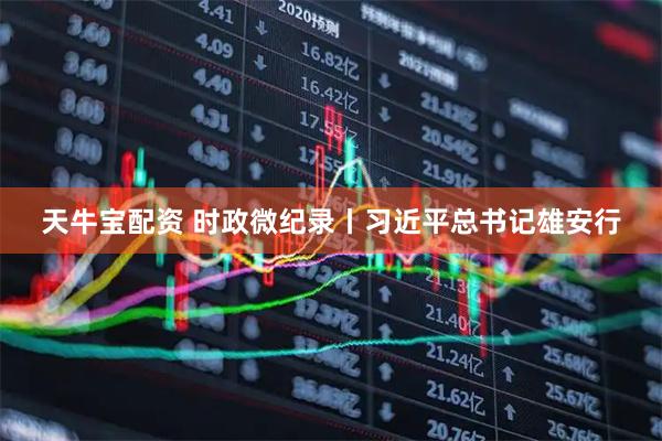 天牛宝配资 时政微纪录丨习近平总书记雄安行